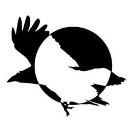 Raven - Instytut Studiów Kulturowych