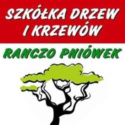 Ranczo Pniówek
