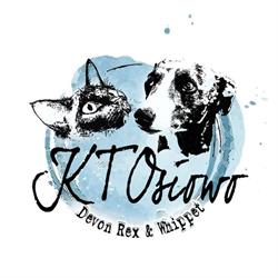 Hodowla kotów i psów rasowych Devon Rex & Whippet Ktosiowo