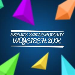 Serwis Samochodowy Wojciech Żuk specjalizaja Ford