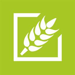 BIG-AGRO.pl