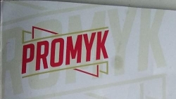 Promyk - Ogrodzenia Betonowe, Panelowe