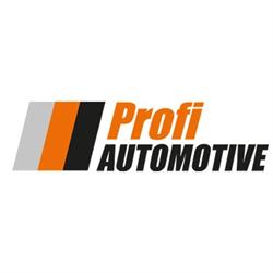 Sklep motoryzacyjny Profi Automotive - Auto Części Olsztyn - czyszczenie DPF