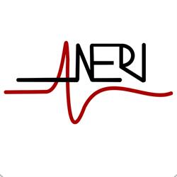 Aneri