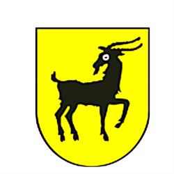 Gmina Kałuszyn