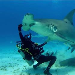 Pidiving