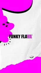 Funky Flava Dance School