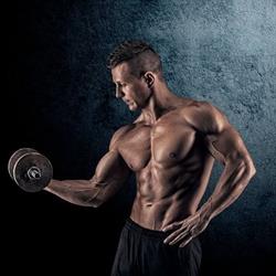 SIŁOWNIA FRESH GYM & FITNESS