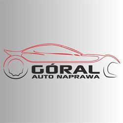 Auto Naprawa Handel Paweł Góral