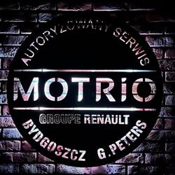 Autoryzowany Serwis Motrio - G. Peters