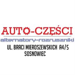 Alternatory Rozruszniki