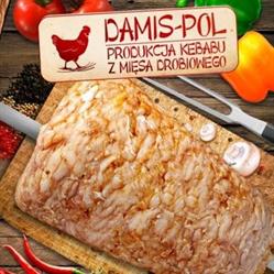 Przedsiębiorstwo DAMIS-POL Michał Stachowiak (zakład produkcyjny)