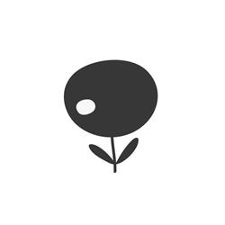 Polkastudio