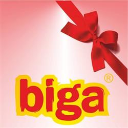 Biga Mikołów