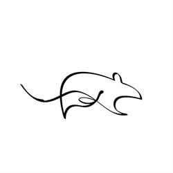 Kiss The Kiss The Rat