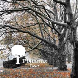 NZOZ Platanus dent