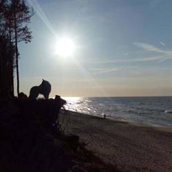 NZOZ "Diamed" Poradnie Zdrowia Psychicznego dla Dzieci, Młodzieży i Dorosłych