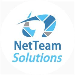 NETTEAM SOLUTIONS S A