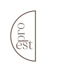 Projekt Estetyka
