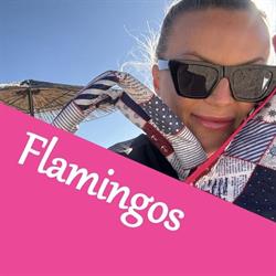 Flamingos