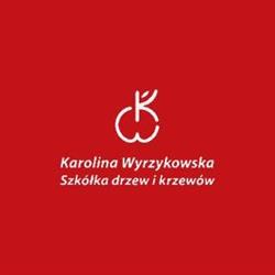 Szkółka Drzew i Krzewów Karolina Wyrzykowska