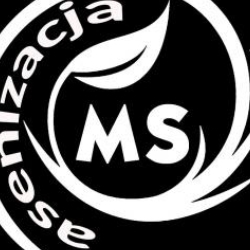 MSAsenizacja Michał Sadowski
