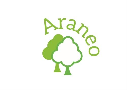 Araneo