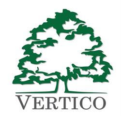 Grupa Vertico