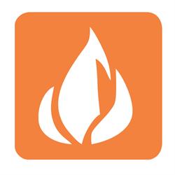 Direct Fire & Security