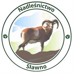 Nadleśnictwo Sławno
