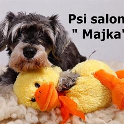 Psi Salon "Majka"