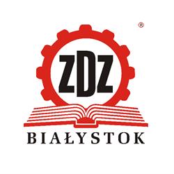 ZDZ.Technik usług fryzjerskich