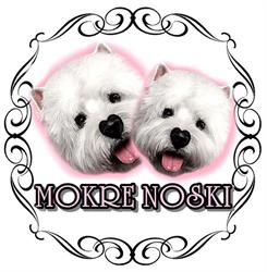 Salon Pielęgnacji Zwierząt ?Mokre Noski?