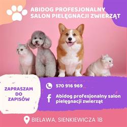 Abidog Profesjonalny salon pielęgnacji zwierząt