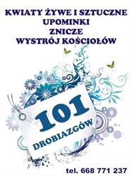 101 Drobiazgów