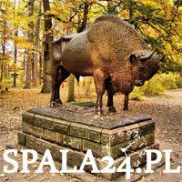Spala24.pl