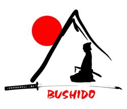 BUSHIDO Szkoła sztuk walki