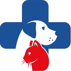 Sol-Vet Specjalistyczna Klinika Weterynaryjna