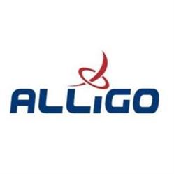 ALLIGO SP Z O O SPÓŁKA KOMANDYTOWA