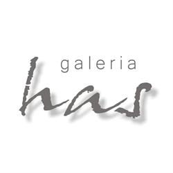 Platforma Sztuki RENES / Galeria HAS