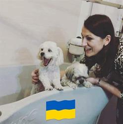 Rock Dog - Salon Pielęgnacji Zwierząt