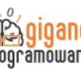 giganci programowania