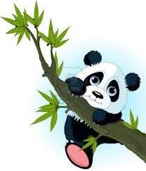 PANDA sklep wielobranżowy