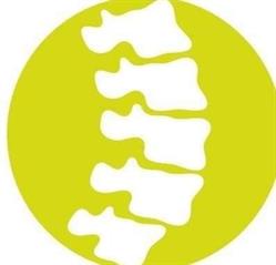 PalpoMed Klinika Osteopatii i Fizjoterapii dr Paweł Wieczorkowski