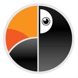 Agencja social media i marketingowa - Pollyart