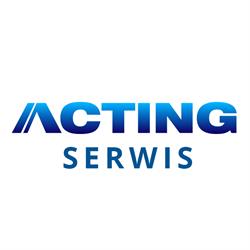 Serwis samochodowy - ACTING