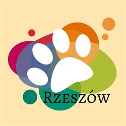 Daisy Sklep Zoologiczny Rzeszów