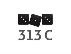 313C Sp. z o.o.