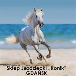 Konik