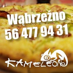 Pizzeria Kameleon